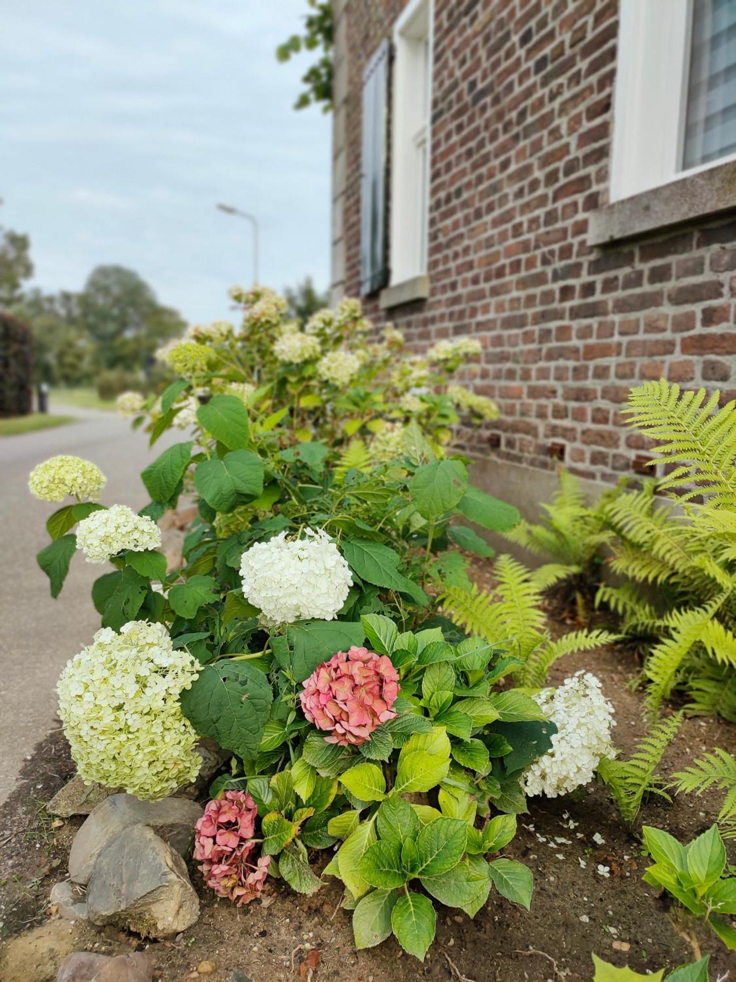 B&B In De Roos Lottum Esterno foto